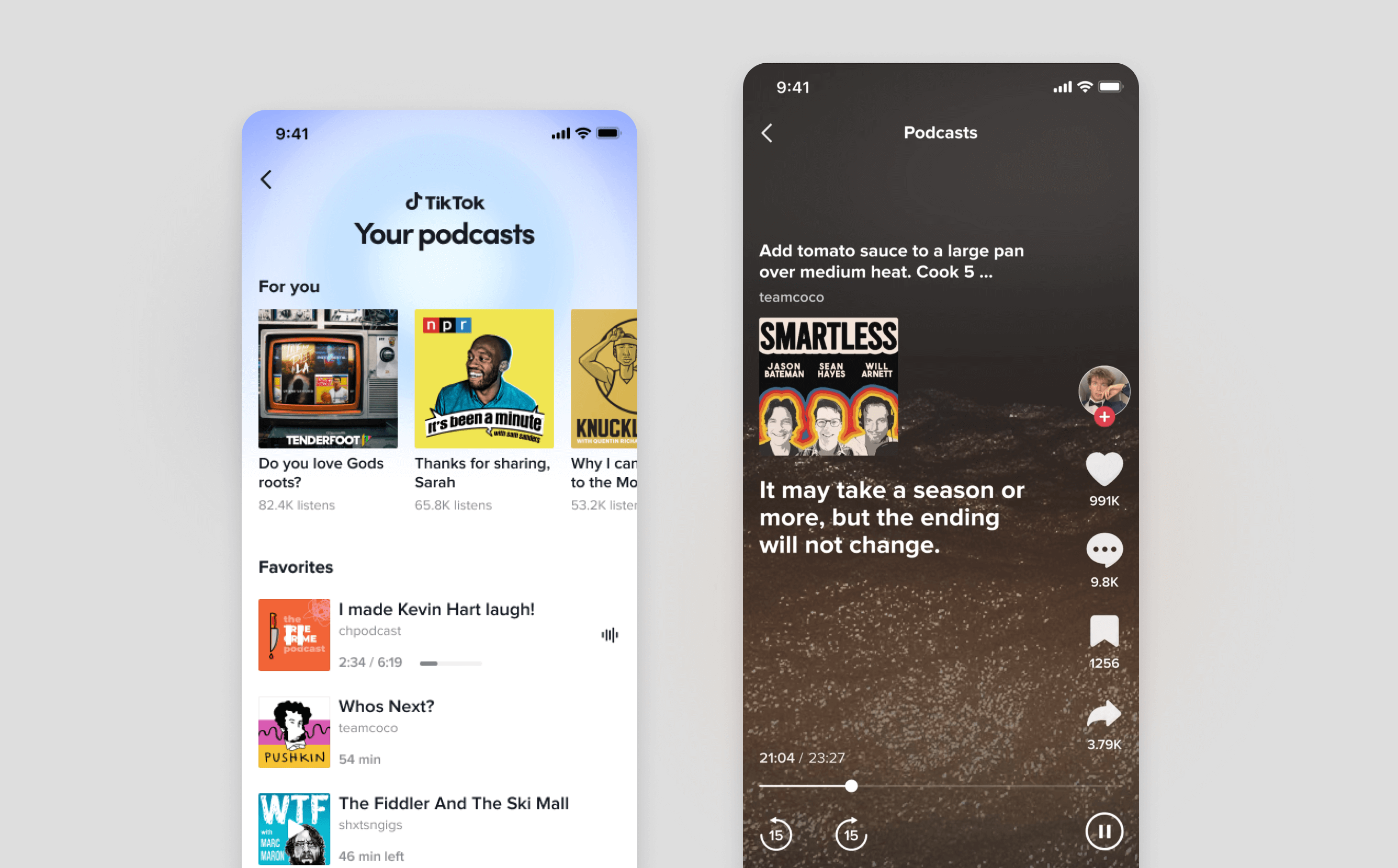 TikTok Podcast Banner